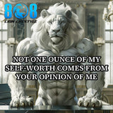 The Self-Worth Sticker is your daily declaration of confidence and independence. This powerful Know your worth quote sticker reinforces strength from within, while the Inner confidence motivational sticker fuels bold self-belief. Designed as a Self value affirmation sticker and Confidence over approval reminder sticker, it reminds you your value is internal. Add to cart now and own your worth today.