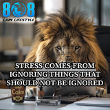 Take control daily with the Source Of Stress Sticker — a bold reminder that avoidance creates pressure. This Stop ignoring problems motivational sticker and Accountability mindset inspirational sticker sharpen your discipline. Let this Face it now quote sticker and Proactive living reminder decal push you to act early and lead strong. Handle it now. Protect your peace—Add to cart today.