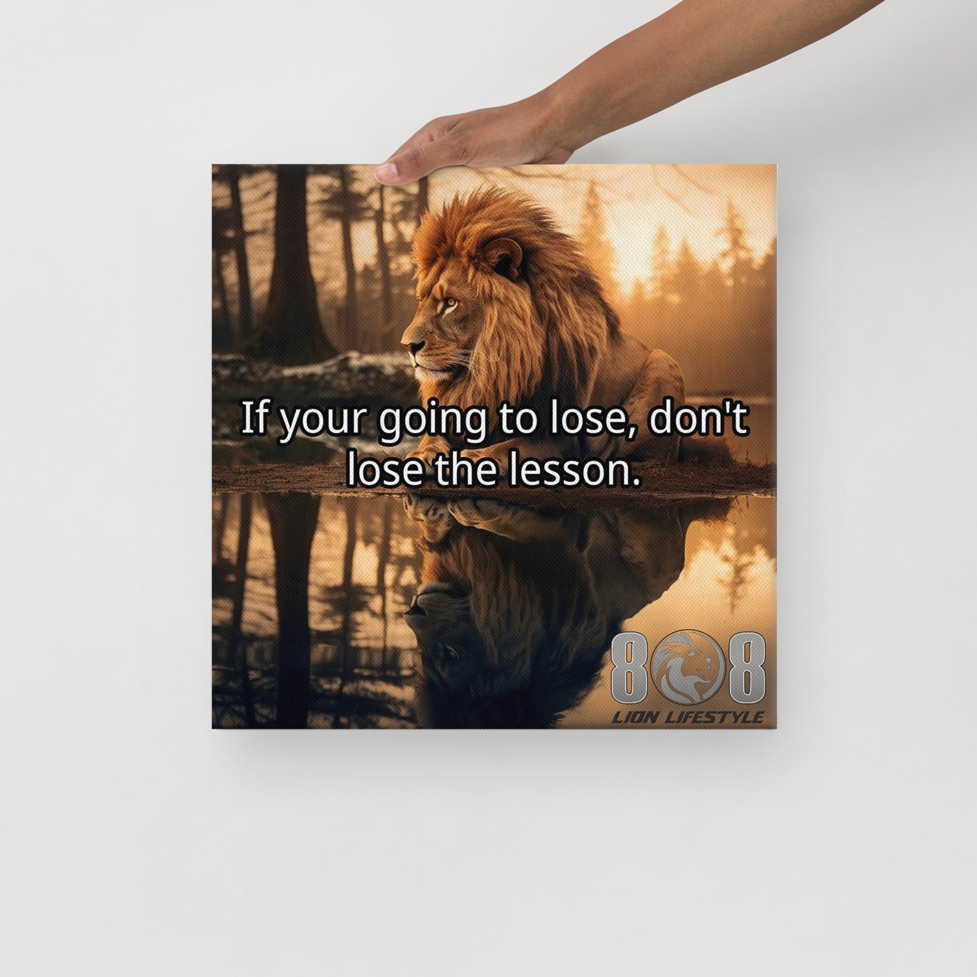 Don’t Lose the Lesson Canvas Motivational
