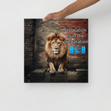 Lion Preparation Canvas