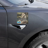 Wisdom Of Old Car Magnet