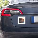 Soul's Intent Car Magnet