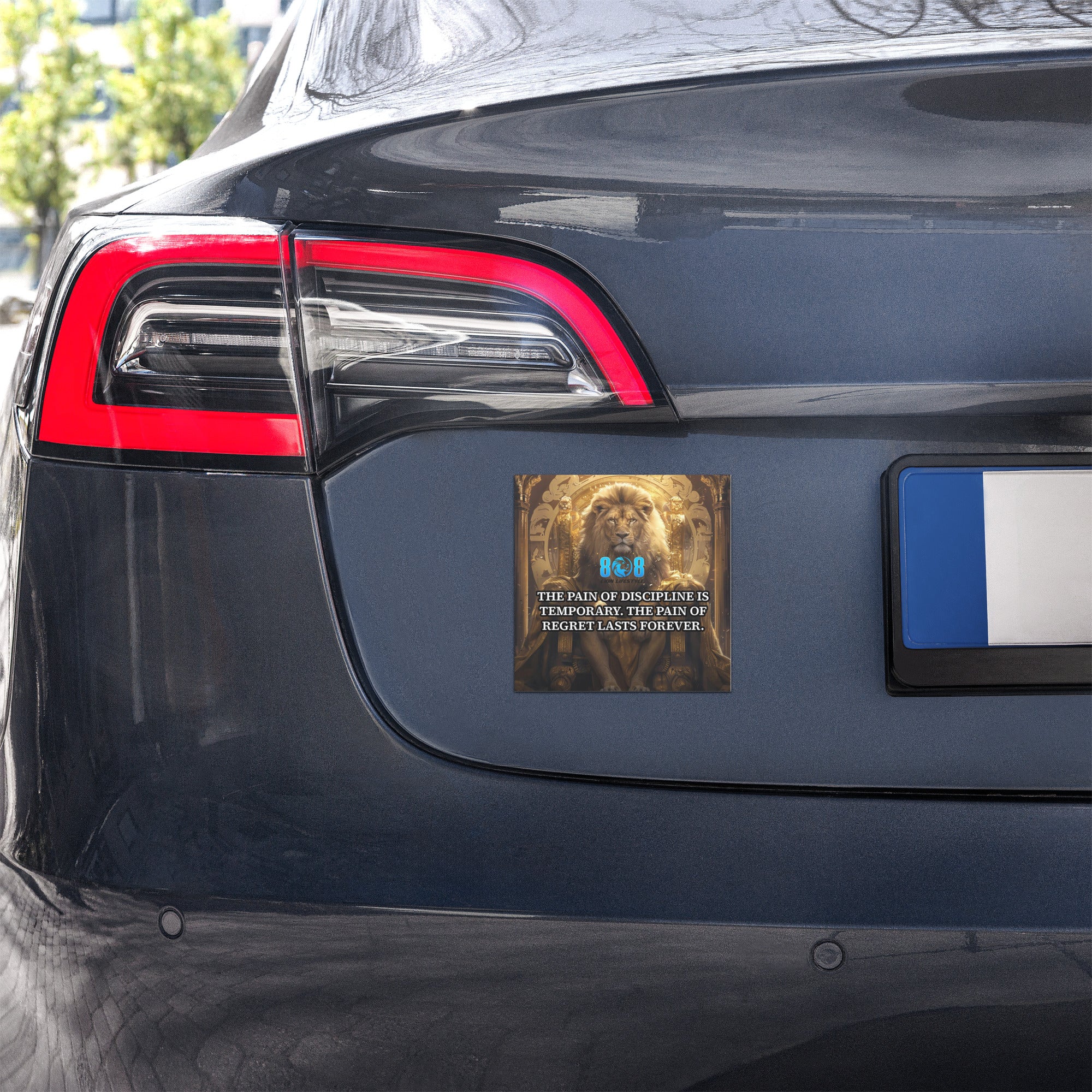Choose growth on every drive with The Pain Car Magnet, a bold Discipline over regret motivation car magnet that sharpens focus. This Pain of discipline quote vehicle magnet reinforces commitment, while the Choose discipline daily reminder magnet builds consistency. Let this Long term success mindset car magnet keep you accountable, driven, and aligned with the future you’re building. Add to cart