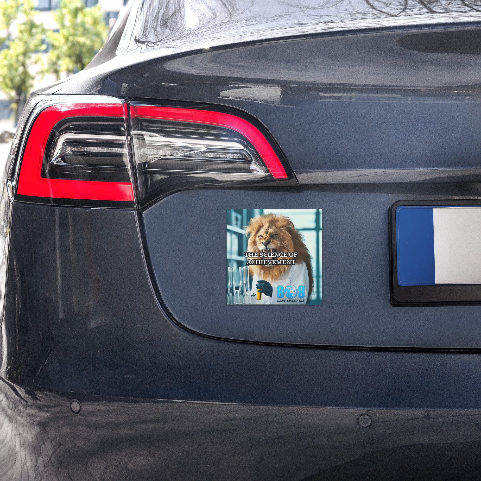 Turn every drive into a masterclass with The Science Of Achievement Car Magnet, a powerful Success science motivation car magnet built for winners. This Achievement mindset daily reminder magnet reinforces focus, while the Principles of success quote vehicle magnet sharpens discipline. Let this Results driven thinking car magnet keep you aligned with proven paths to progress and achievement every day. Add to cart