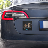 Choice To Trust Car Magnet