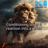 Build winning instincts with the Winner's Reflex Car Magnet, designed for those who train beyond thinking. This Conditioned success mindset car magnet reinforces mastery as a Train until automatic vehicle magnet. Engineered with Discipline creates reflex car magnet power and Elite performance conditioning magnet focus, it reminds you that champions act on reflex, not hesitation. Add to cart