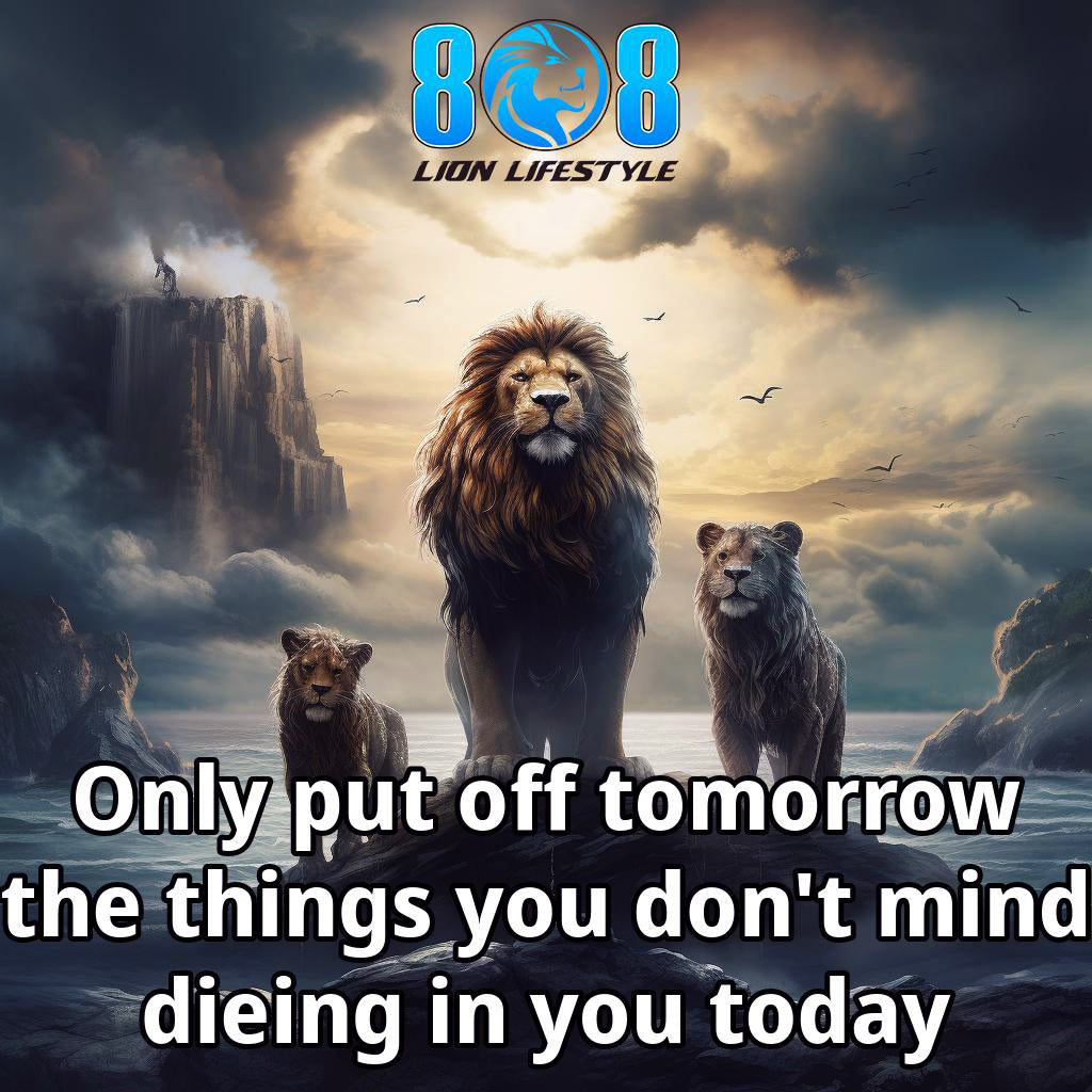 Do It Today Car Magnet