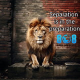 Step ahead of the pack with our Lion Preparation T-Shirt, reminding you that separation is always in the preparation. Wear the Separation In Preparation Motivational Shirt to inspire focus, or gear up with a Prepare For Success Tee to stay ready. Build habits in a Discipline And Preparation T-Shirt and chase victory in a Winning Through Preparation Shirt. Success favors the prepared—Add to cart today!